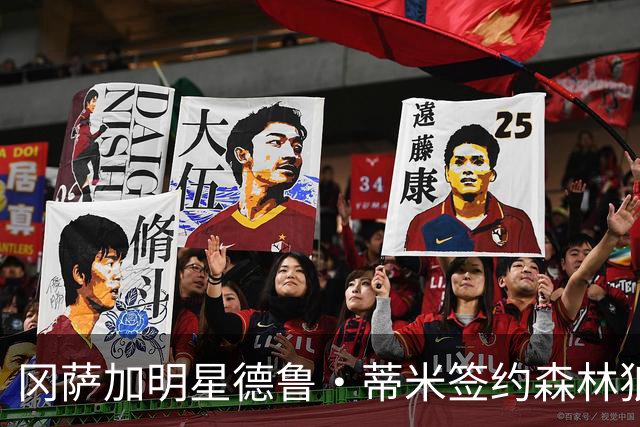 冈萨加明星德鲁·蒂米签约森林狼训练营，争夺NBA名额