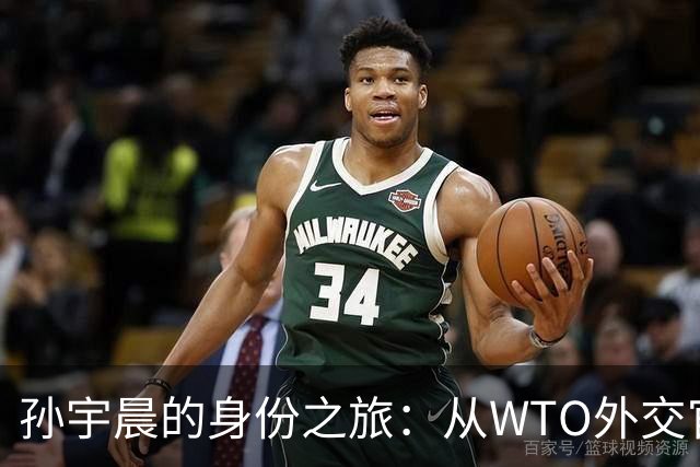 孙宇晨的身份之旅：从WTO外交官到网络“总理