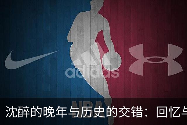 沈醉的晚年与历史的交错：回忆与现实的对话